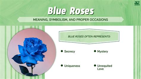 blue rose spiritual meaning.